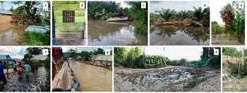 Floods devastated vegetable farming