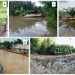 Floods devastated vegetable farming