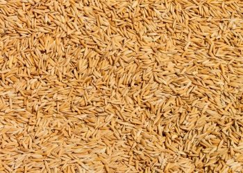 The corporation failed to provide seeds