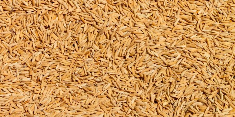 The corporation failed to provide seeds