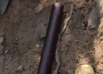 Mother’s death in granddaughter’s death