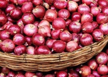 Onions will be cheaper in January