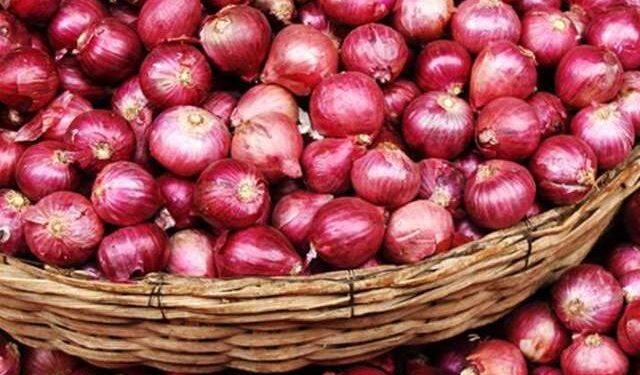 Onions will be cheaper in January