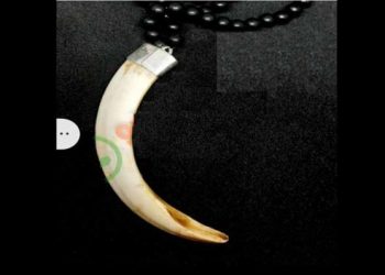 Barraha Teeth is a popular online store