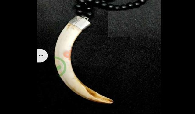 Barraha Teeth is a popular online store