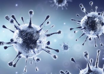 White House Kovid9-18 Task Force Warning