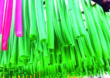 The state’s first rubber band in Kendugadi