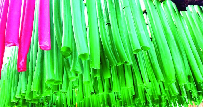 The state’s first rubber band in Kendugadi