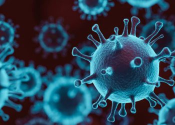 Even 6 months after recovery, 50% of patients have symptoms of infection