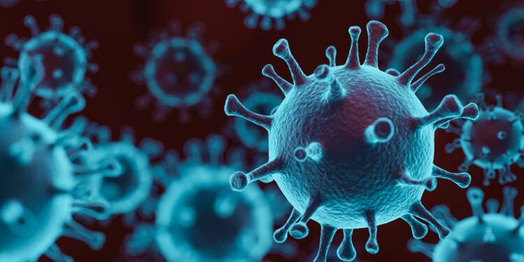 Even 6 months after recovery, 50% of patients have symptoms of infection