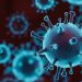 Even 6 months after recovery, 50% of patients have symptoms of infection