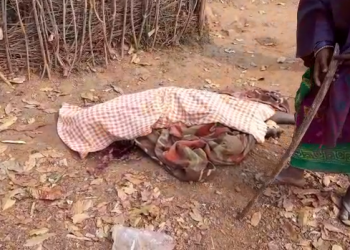 The younger brother killed the older brother in a minor altercation