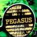 Union Government in a Frenzy over Pegasus case