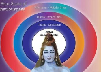 Dreamer is called ‘Teijas’